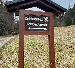 Wandern Bannwald Baiersbronn
