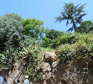 Parc Guell