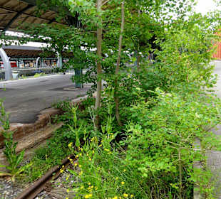 Impressionen vom "Bahngleis 1"