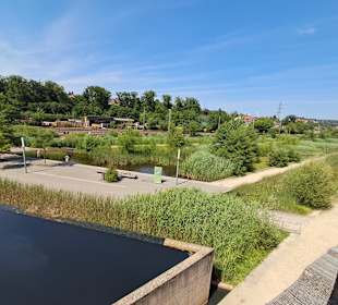 Naturschutzgebiet Grube Reden in Schiffweiler