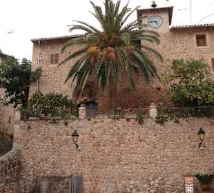 Palme vor der Kirche