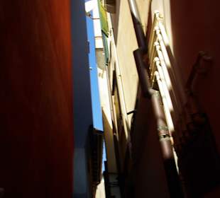 Blick nach oben