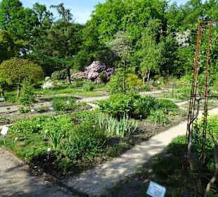 Der Bremer Botanische Garten im Mai