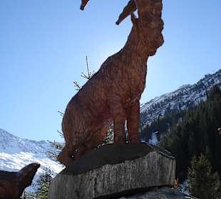 Pitztaler Steinbock