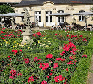 Eindrücke aus dem Bamberger Rosengarten