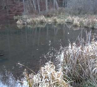 Schönbuch Schaichtal