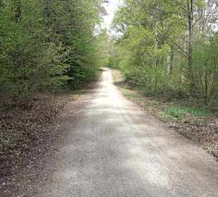 Walderlebnisweg Rottenburg