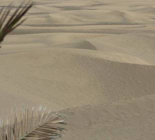 Dünenlandschaft