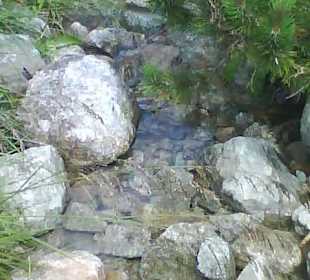 Tatrzański Park Narodowy