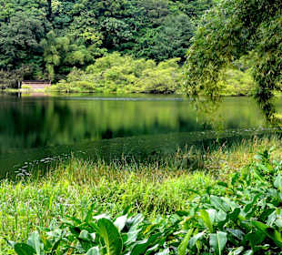 Impressionen vom Grand Etang