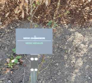 Erläuterungen der Kräuter