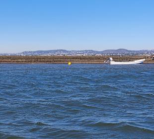 Bootstour Ria Formosa