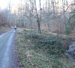 Wanderung rund um den Ochsenweiher