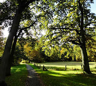 Herbstspaziergang durch den Bürgerpark Bremen