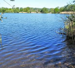 Eindrücke vom Hufeisensee im Wietzepark