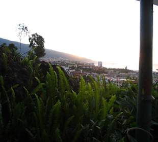 Abends