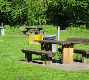 Liegewiesen und Grillareal am Sodenmattsee