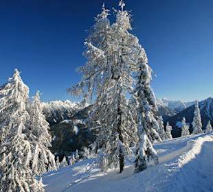 Winterwanderweg Hochwurzen