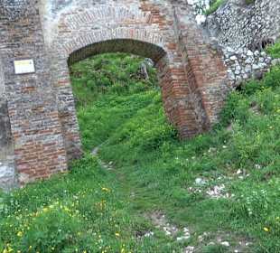 Ruine Burg Kaltenburg