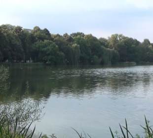 Schlossteich