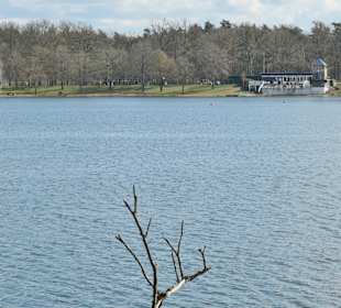 Spaziergang rund um den Baggersee