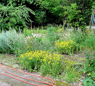 Rundgang durch den Botanischen Garten Oldenburg
