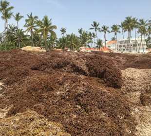 Strand Bavaro Beach Punta Cana 13.06.18