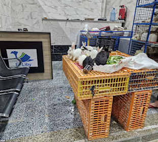 Obst- und Gemüsemarkt Dahar