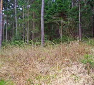 Brombachspeicher gross