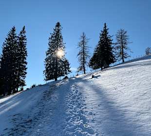 Wandern Fladnitz an der Teichalm