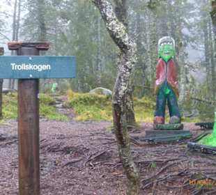 Berg Fløyen