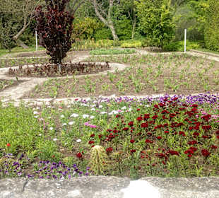 Botanischer Garten Baltschik