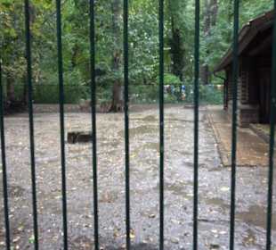 Tierpark
