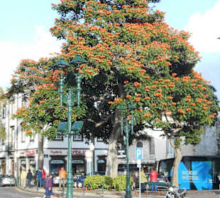 Praça do Município