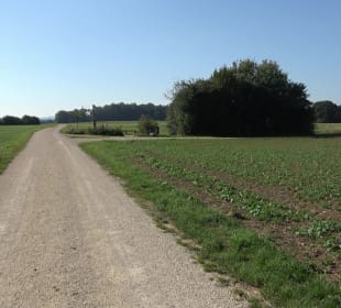 Kelten-Erlebnis-Pfad Erkenbrechtsweiler