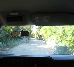 Weg nach Sian Kaan bzw. Rückweg