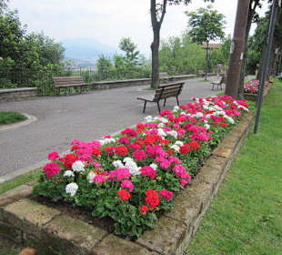 In der Altstadt Bergamos