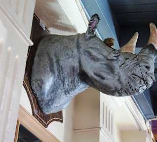 Wo kommt das denn her?