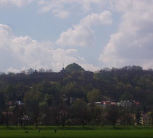 Kopiec Kościuszki, Lasek Wolski