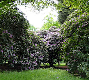 Schlosspark Wechselburg