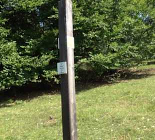 Wacholderheide Sternberg