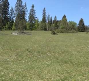 Premiumwanderweg Hochgehschätzt