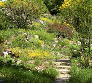 Weg