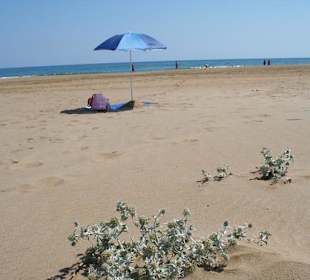 Dünen - Hotel Happy Days