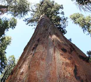  Hiking in Nelder Grove