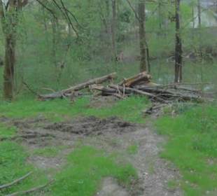 Südamerika Bereich - Naturbelassener Rundweg