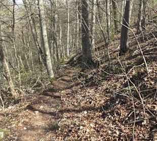 Wanderweg Hochgehkämpft