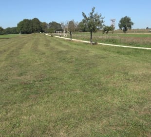 Kelten-Erlebnis-Pfad Erkenbrechtsweiler