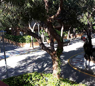 Stadtrundgang Castell-Platja d’Aro