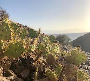 Strand Playa Blanca de Yaiza